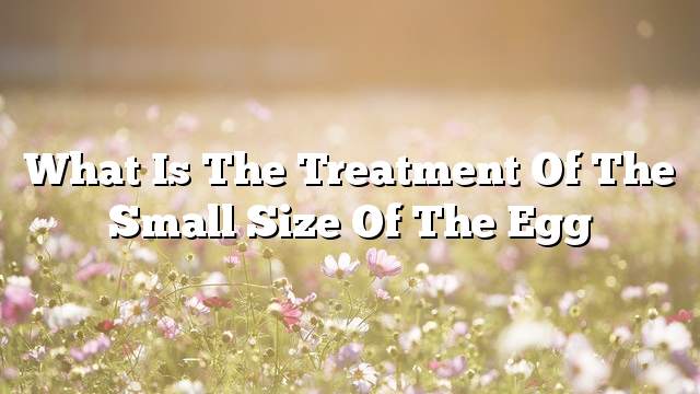 What is the treatment of the small size of the egg