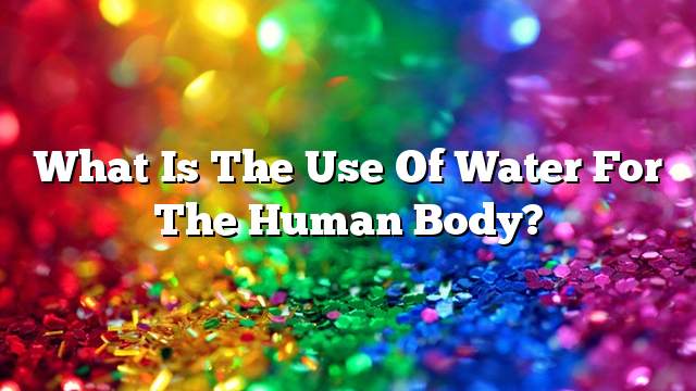 What is the use of water for the human body?