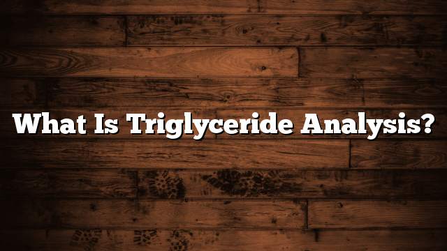 What is triglyceride analysis?
