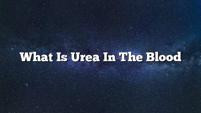 What is urea in the blood