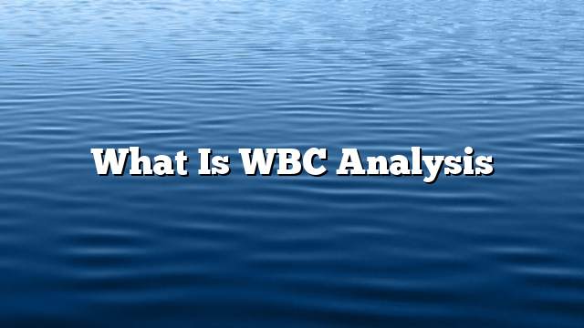 What is WBC analysis