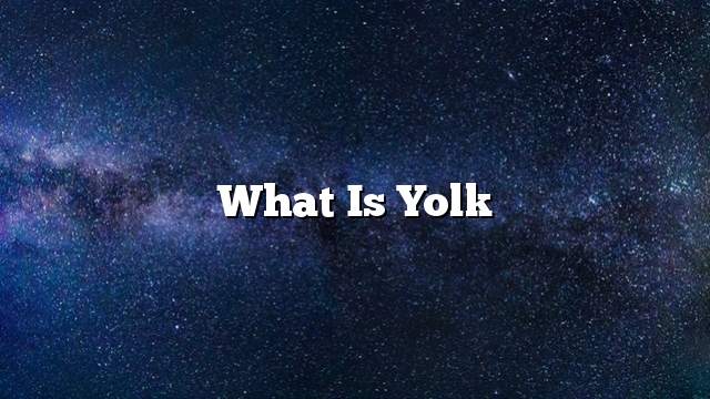 What is yolk