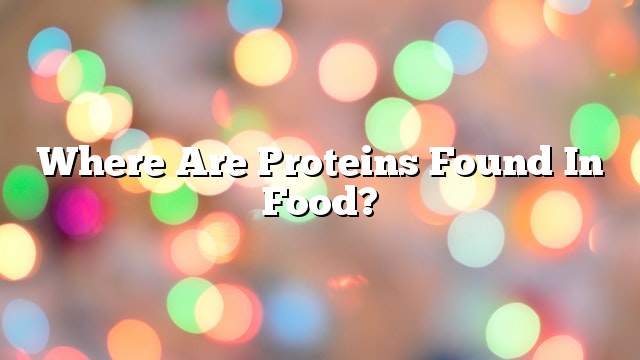 Where are proteins found in food?