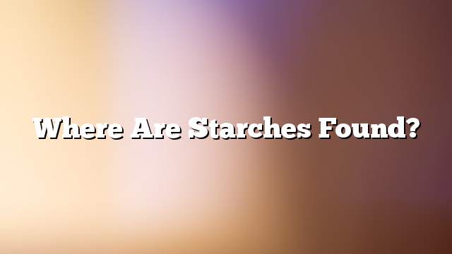 Where are starches found?