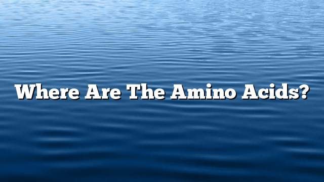 Where are the amino acids?