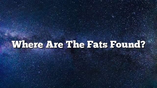 Where are the fats found?