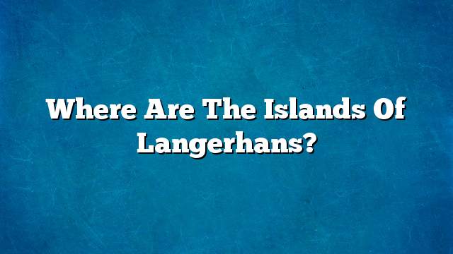 Where are the islands of Langerhans?