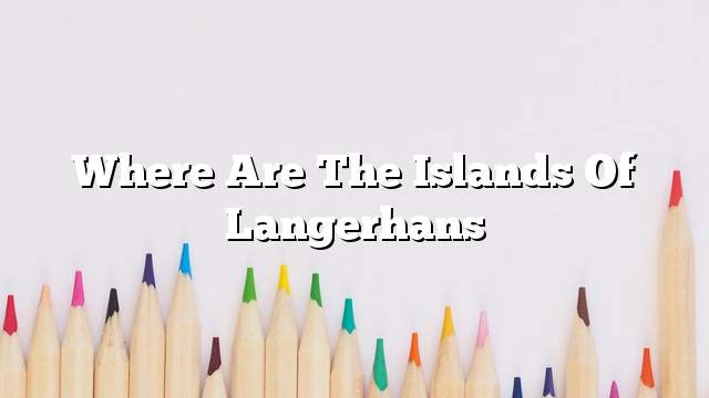 Where are the islands of Langerhans