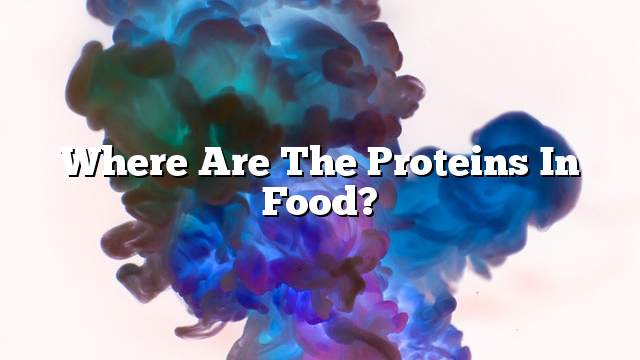 Where are the proteins in food?