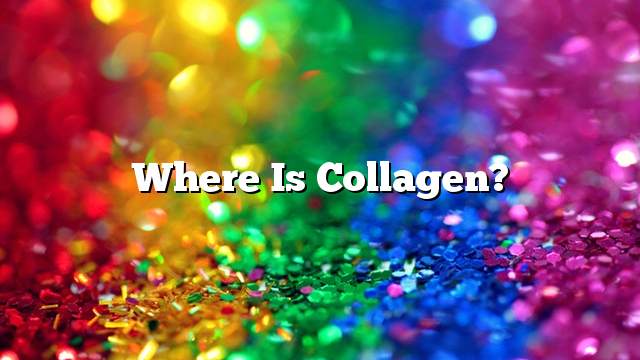 Where is collagen?