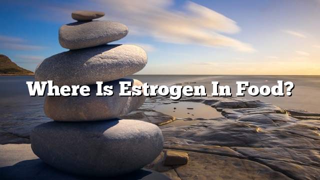 Where is estrogen in food?