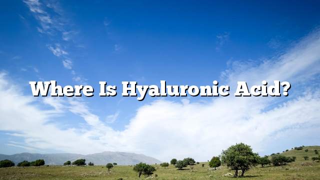 Where is hyaluronic acid?