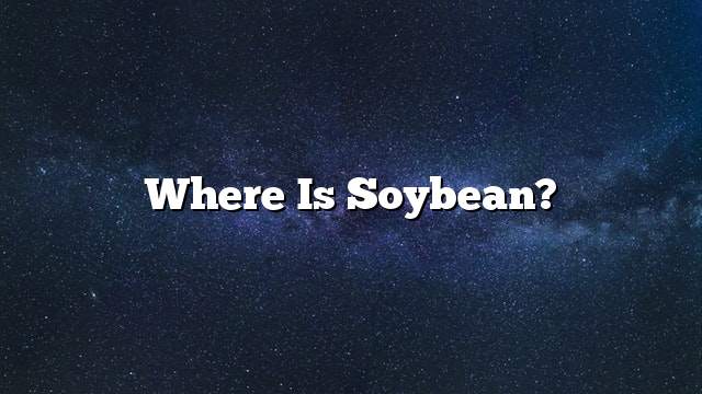 Where is soybean?
