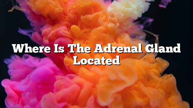 Where is the adrenal gland located
