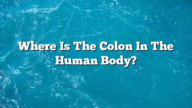 Where is the colon in the human body?