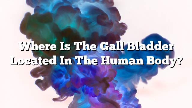 Where is the gall bladder located in the human body?