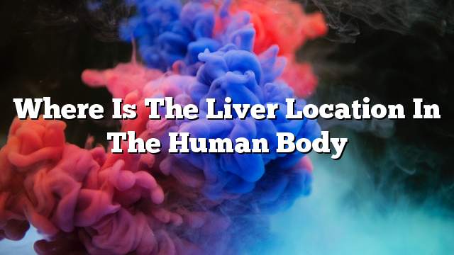 Where is the liver location in the human body