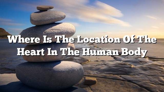 Where is the location of the heart in the human body