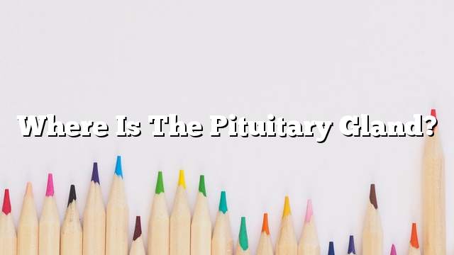 Where is the pituitary gland?