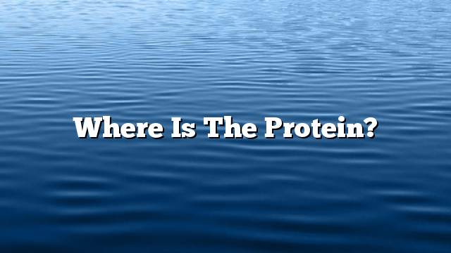 Where is the protein?