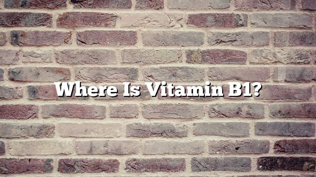 Where is Vitamin B1?