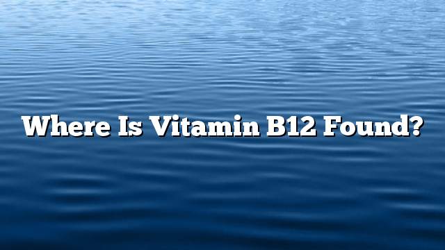 Where is Vitamin B12 found?