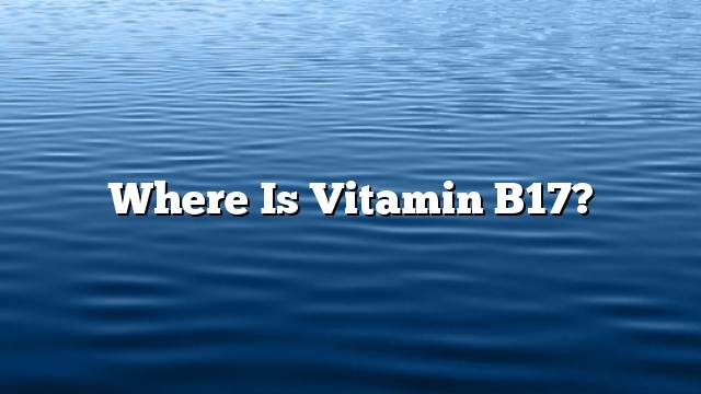 Where is Vitamin B17?