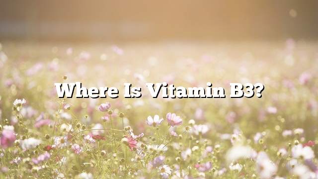 Where is Vitamin B3?