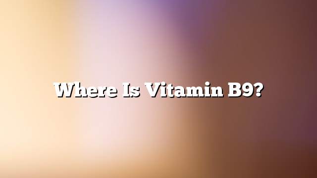 Where is Vitamin B9?