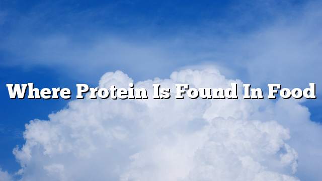 Where protein is found in food