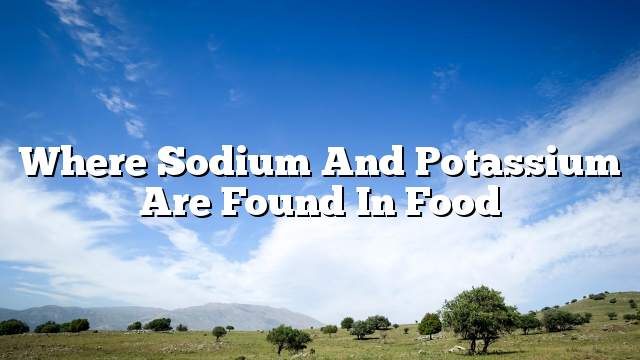 Where sodium and potassium are found in food