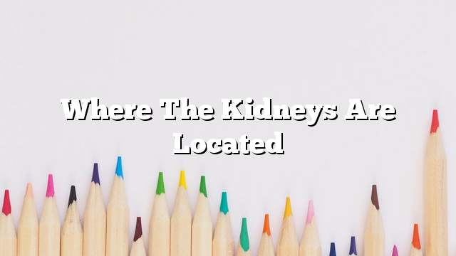 Where the kidneys are located