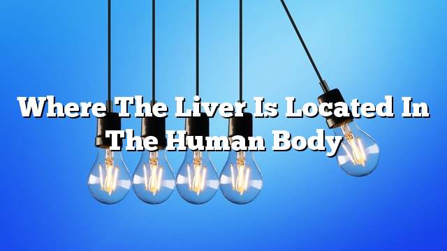 Where the liver is located in the human body