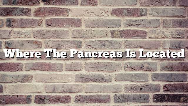 Where the pancreas is located