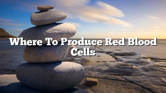 Where to produce red blood cells