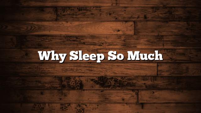 Why sleep so much